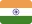 INDIA flag icon