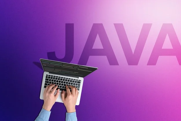 Custom Java Software Development Company