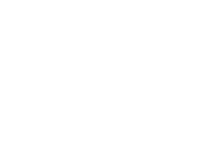 B2B MVP Development