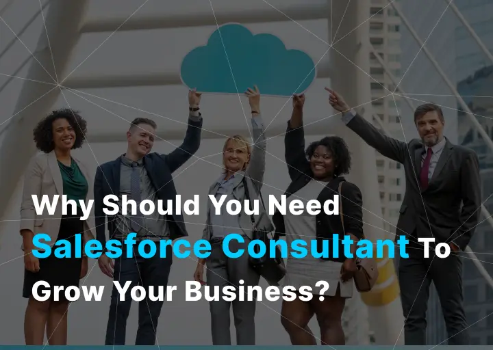 You Need Salesforce Consultant To Grow Your Business