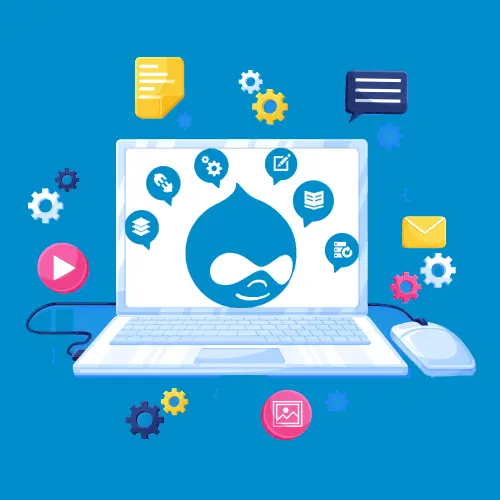 Drupal Development Company